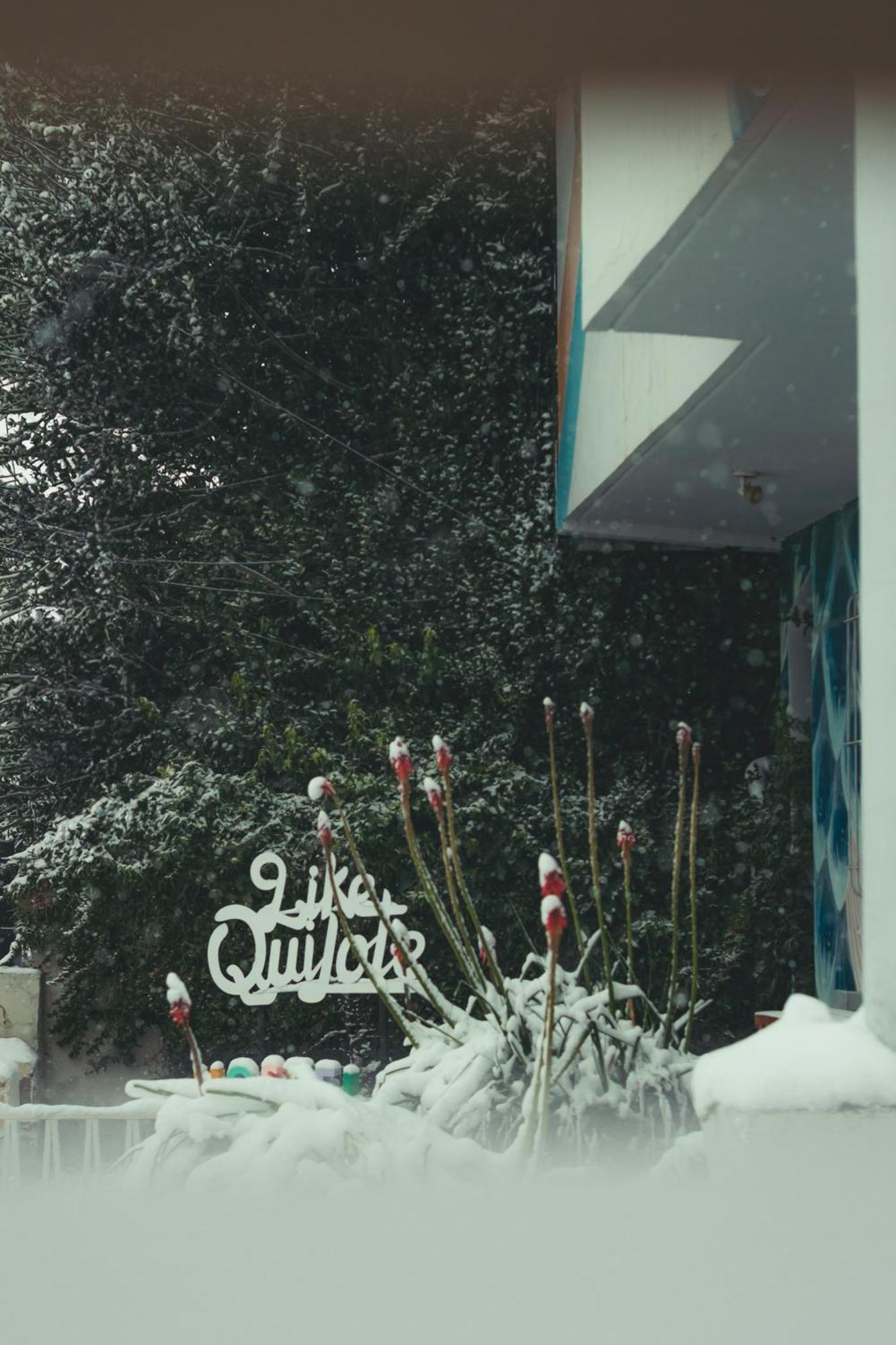 Hostel Like Quijote San Carlos de Bariloche Exterior photo